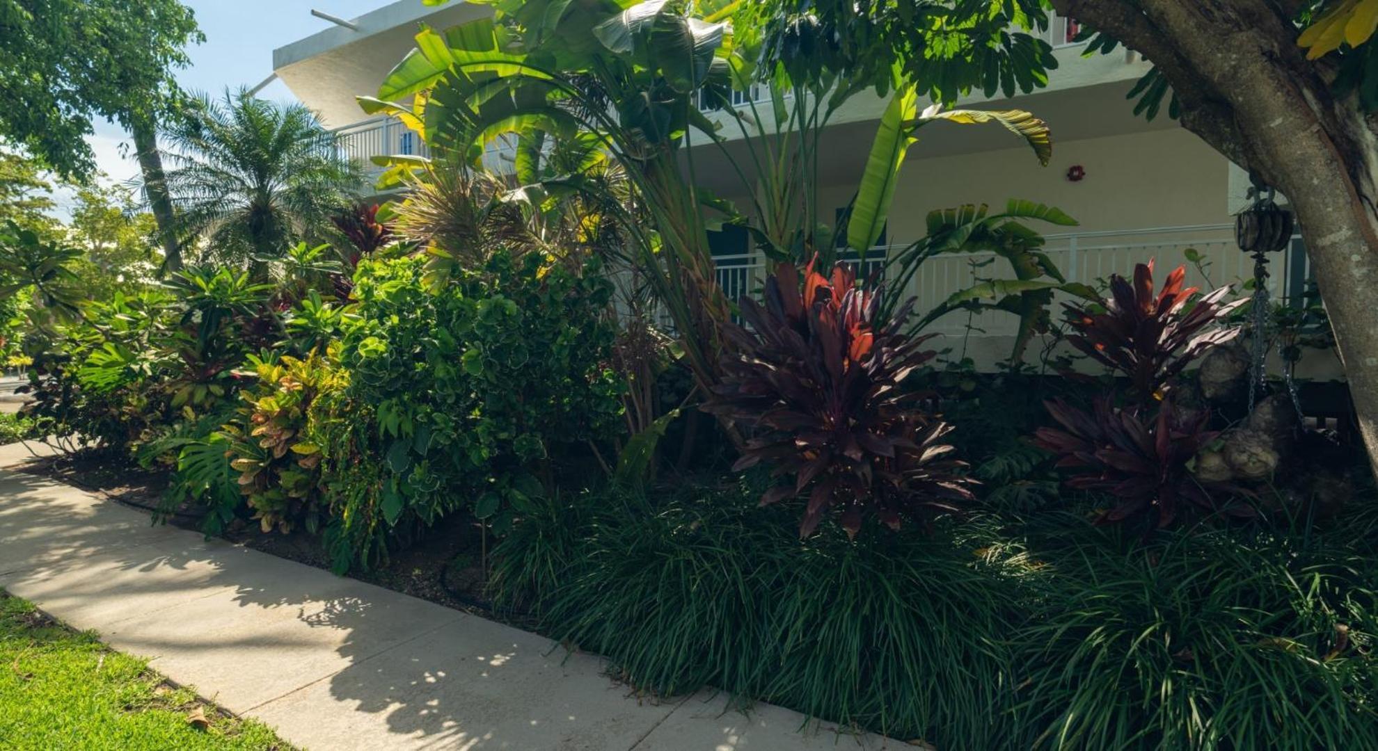 Caloosa Cove Resort Islamorada Zewnętrze zdjęcie